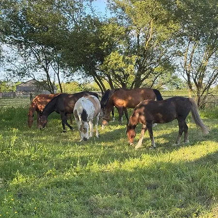 Casa de Férias Domaine Jean Saint-Come-du-Mont