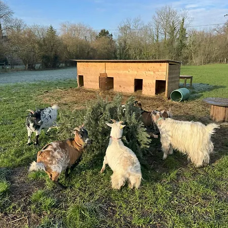 Casa de Férias Domaine Jean Saint-Come-du-Mont