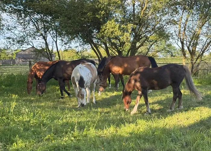 Holiday home Domaine Jean Saint-Come-du-Mont