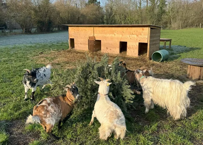 Holiday home Domaine Jean Saint-Come-du-Mont